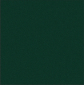 RAL 6005.jpg