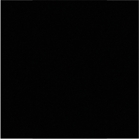 RAL 9005.jpg