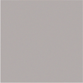 RAL 9006.jpg