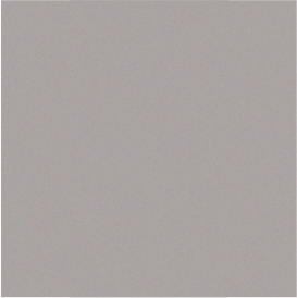 RAL 9007.jpg